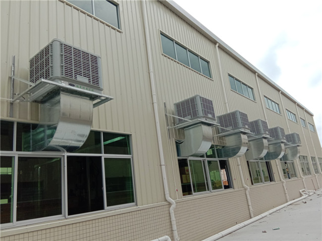 ���L�C_����̩��