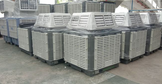 �Ƅ����L�C�ȡ���̩��