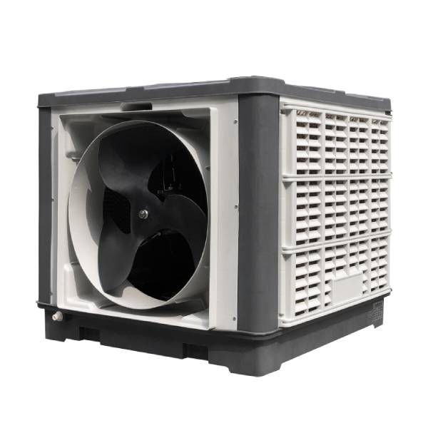 ���|ݸ�h(hu��n)�����{��-2020�h(hu��n)�����{�r��|��r